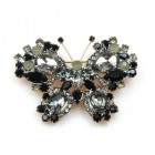 Swallowtail Butterfly ~ Black Diamond