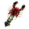Lobster Brooch ~ #01*