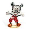 Mickey ~ Extra Decoration and Brooch