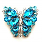 Fairy Butterfly Set With Brooch ~ Aqua*